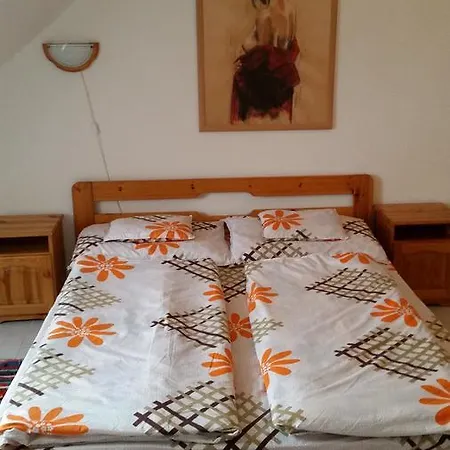 Bed & Breakfast Engiro Panzio *