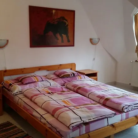 Bed & Breakfast Engiro Panzio *